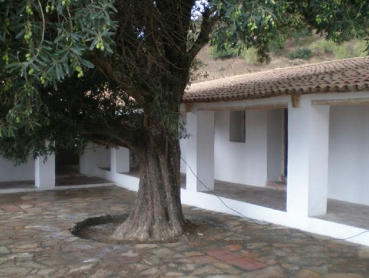 Restauration et Mise en valeur de la Zaouïa Aissaouia Médéa