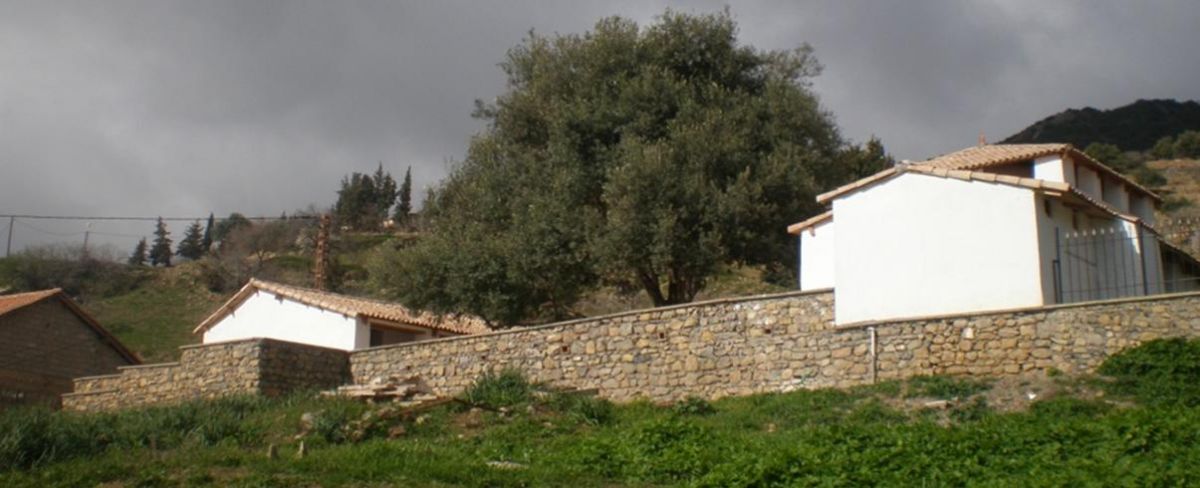Restauration et Mise en valeur de la Zaouïa Aissaouia - Médéa
